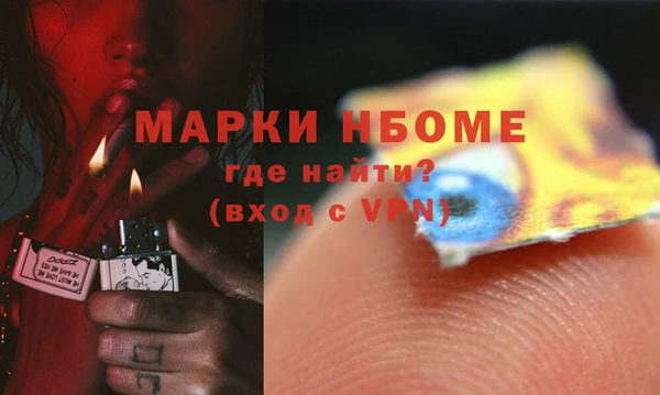 индика Богородск