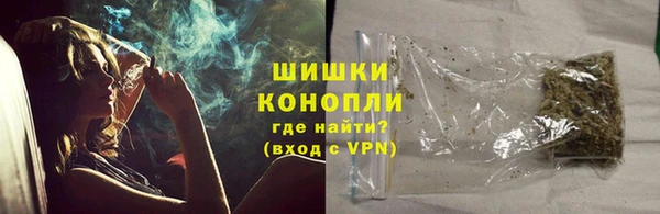 гашик Богданович