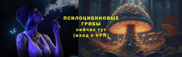 гашик Богданович