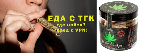 индика Богородск