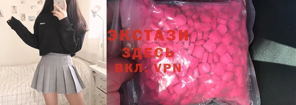 индика Богородск