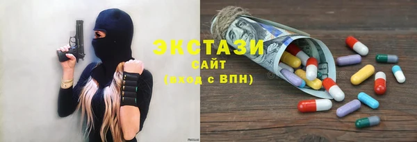 индика Богородск