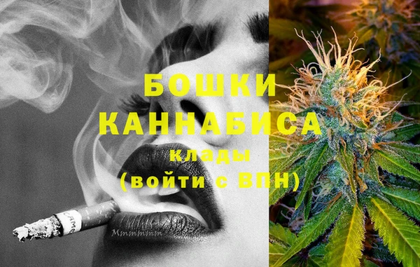 гашик Богданович