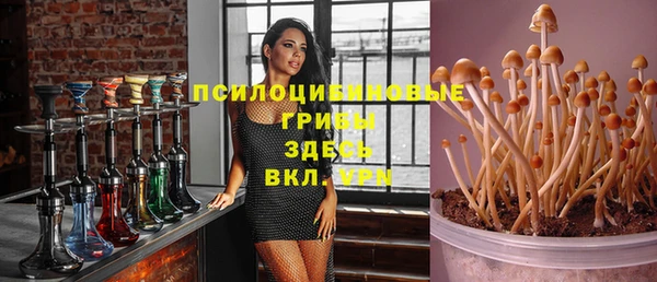 индика Богородск