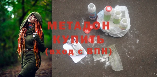 индика Богородск