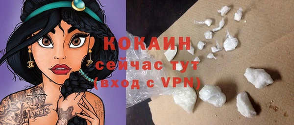 индика Богородск
