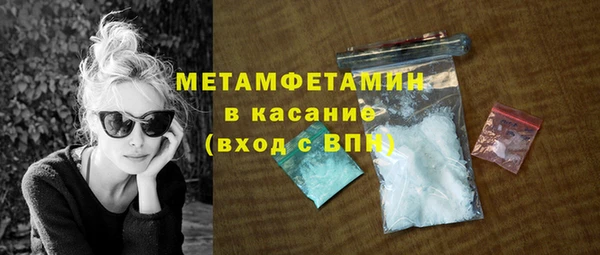 индика Богородск