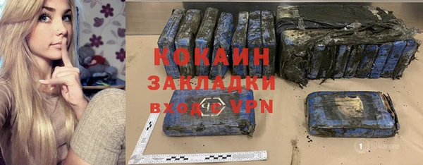 индика Богородск