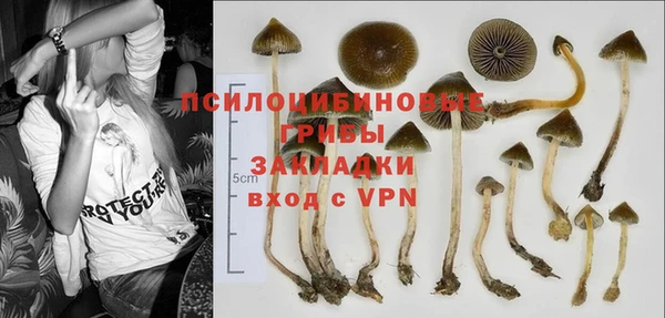 марки nbome Богородицк