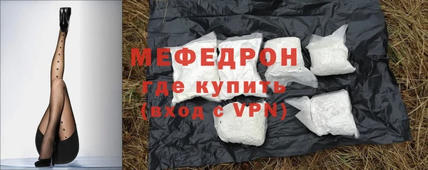 индика Богородск