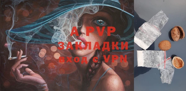 индика Богородск