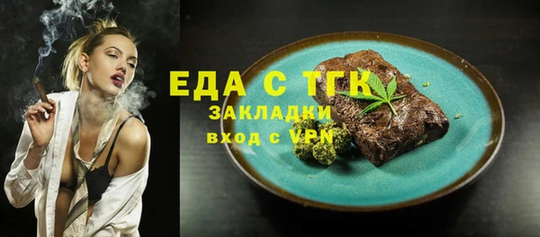 индика Богородск