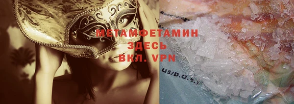 индика Богородск