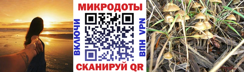 Псилоцибиновые грибы MAGIC MUSHROOMS Владикавказ